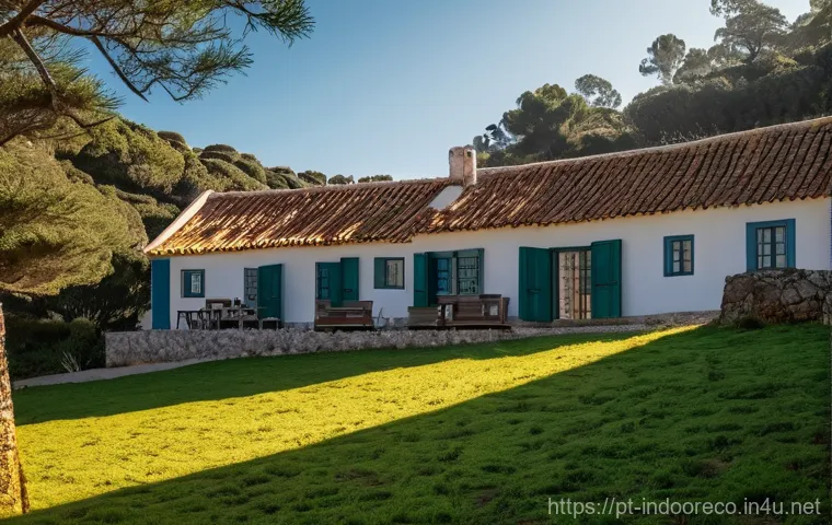 자연광과 실내 온도의 관계 - Here are three detailed image generation prompts in English, inspired by the provided text, while st...